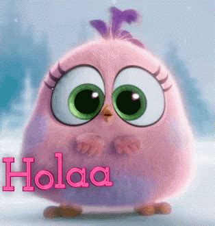 hola memes|hola animated.